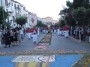 infiorata (128)